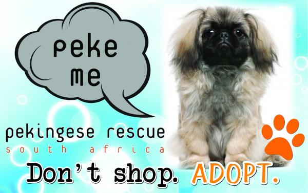 PEKINGESE RESCUE OF SOUTH AFRICA